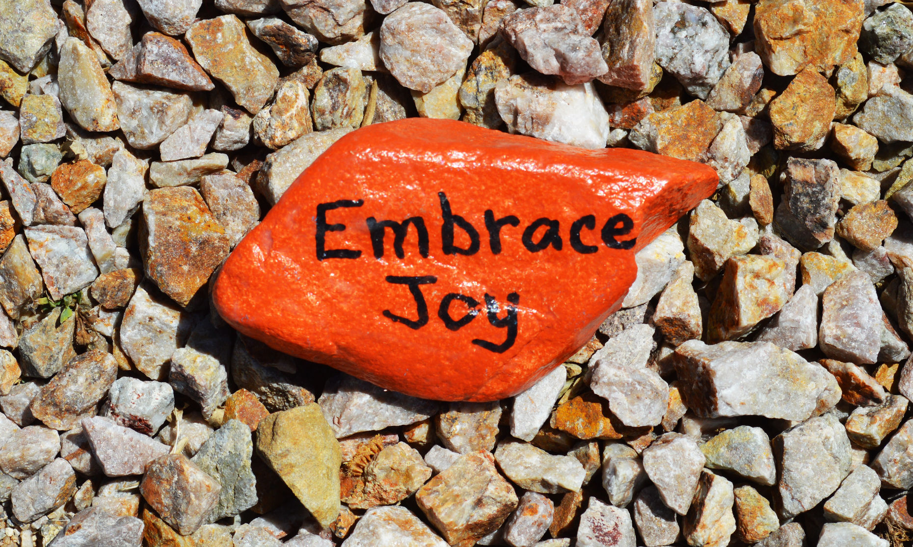 Kindness rocks